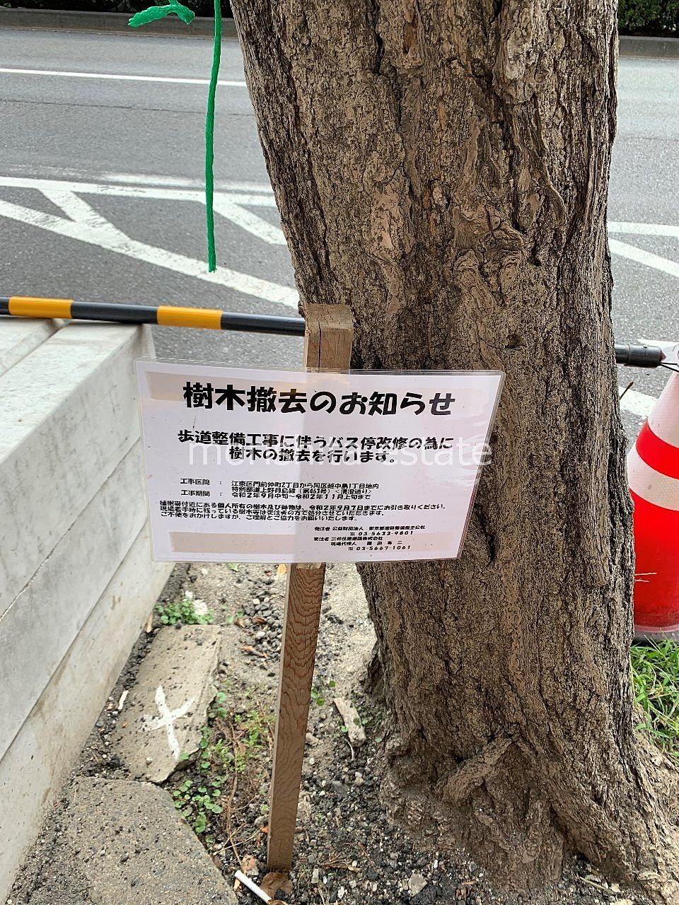 歩道整備のため樹木撤去！